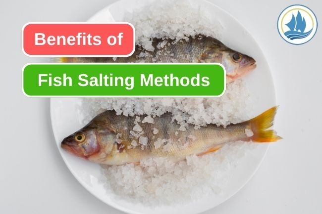 5 Advantages Of Fish Salting Method